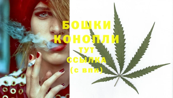 гидропоника Верхнеуральск