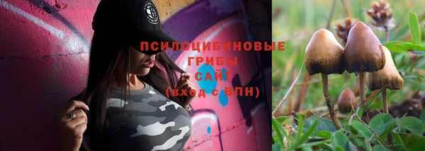 гидропоника Верхнеуральск