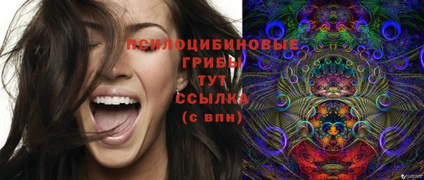 гидропоника Верхнеуральск