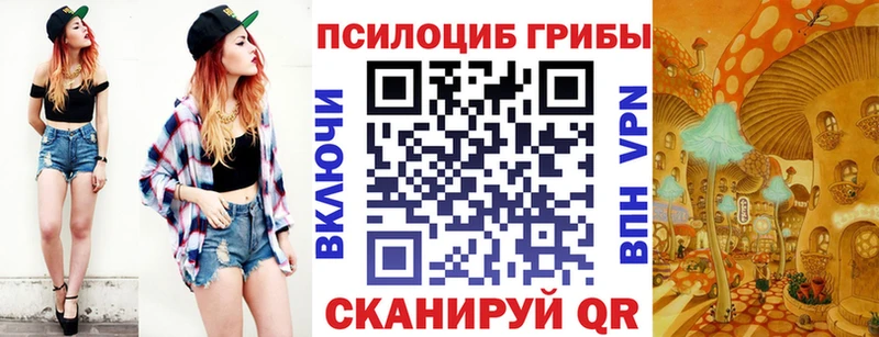 Купить где  Кубинка  Псилоцибиновые грибы Psilocybine cubensis 